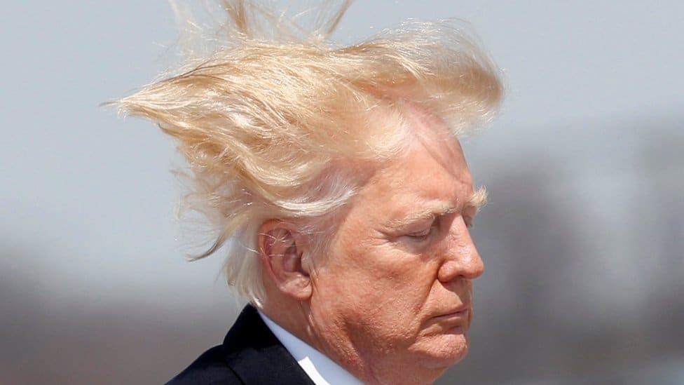 donald-trump-hair