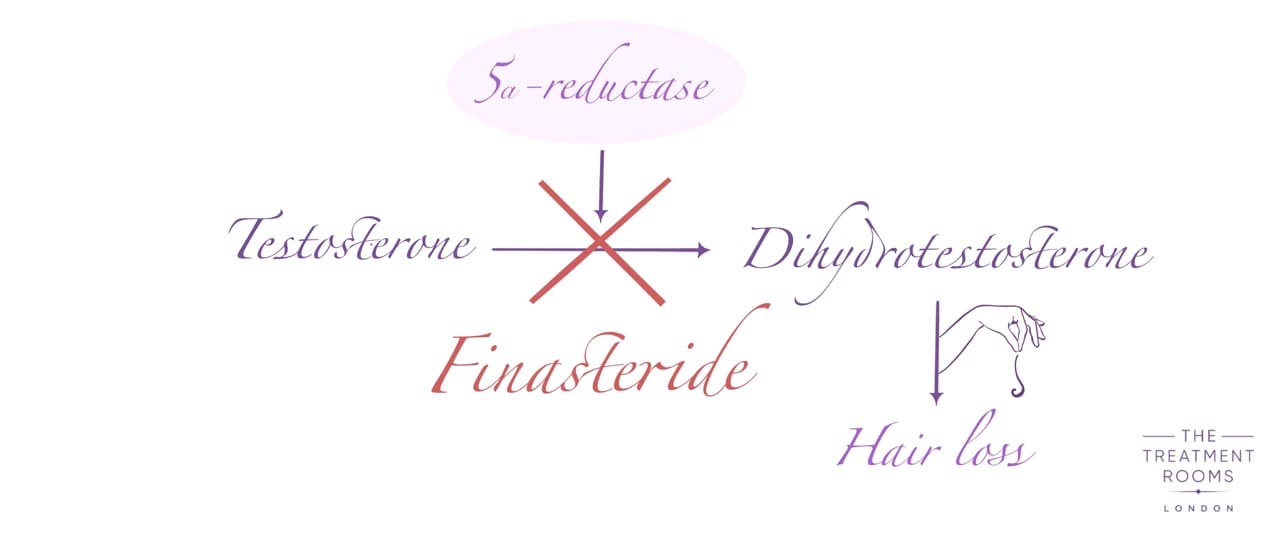 testosterone to DHT finasteride