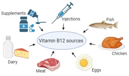 Vitamin B12 dietary sources