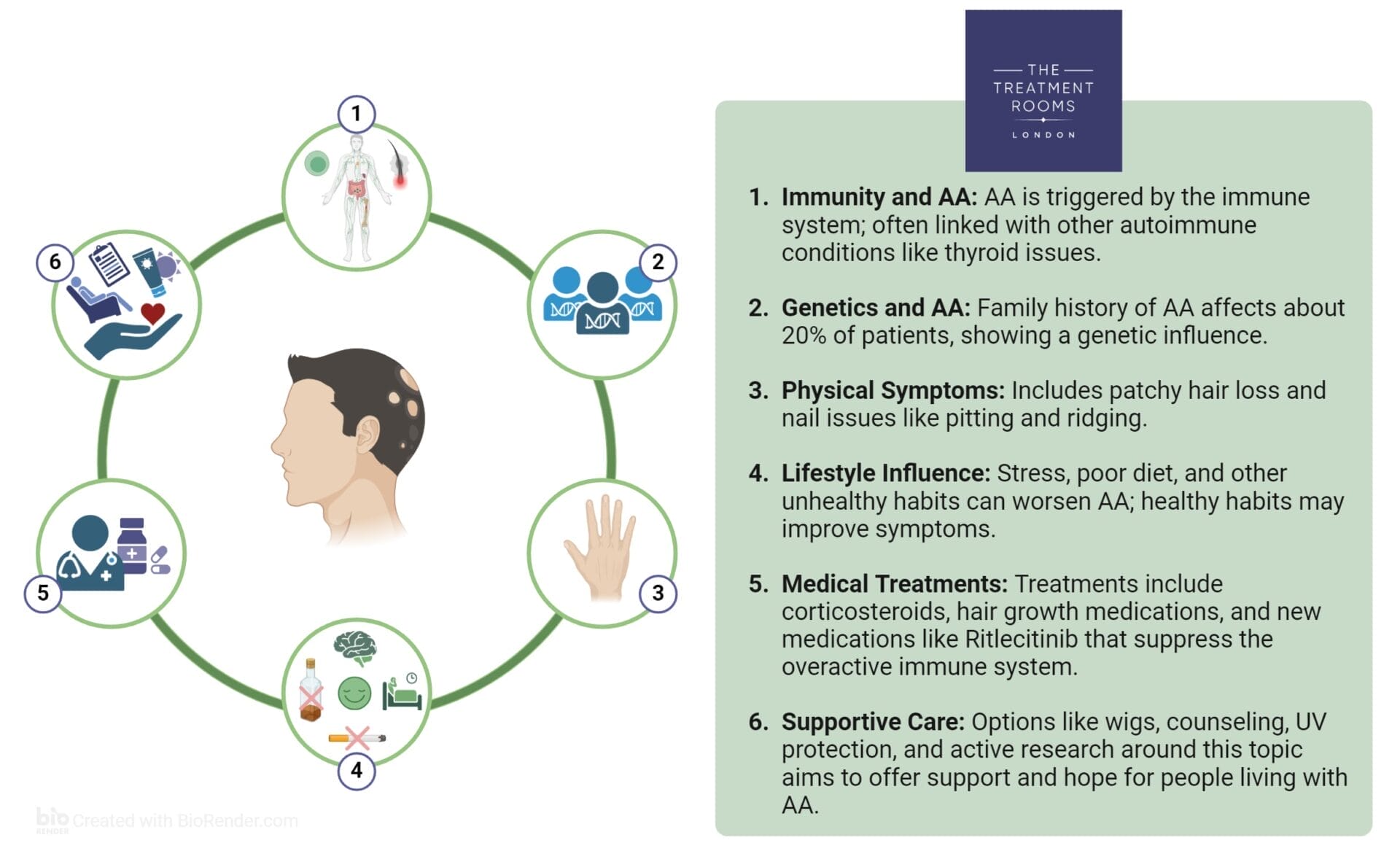 alopecia areata diagram