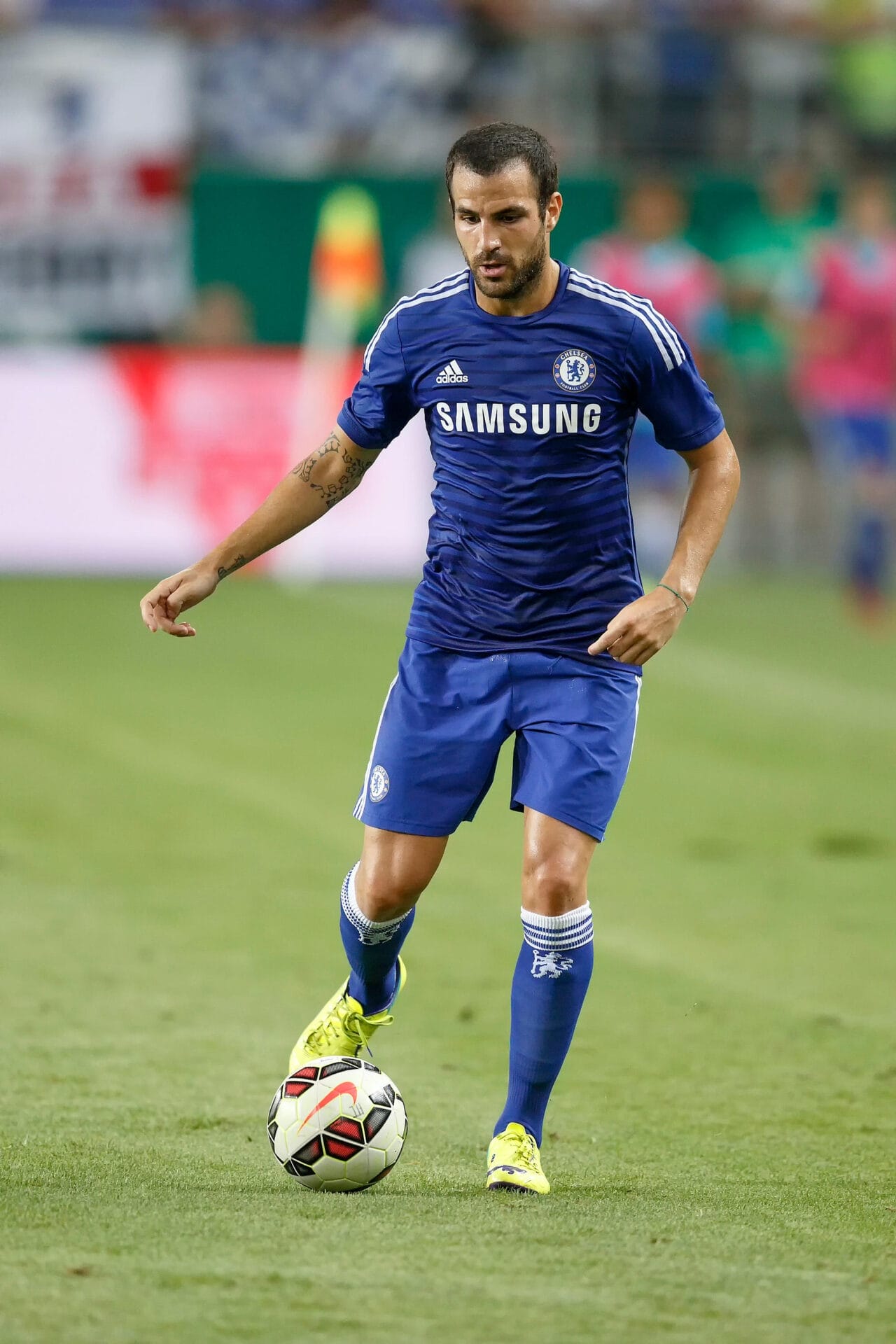 cesc fabregas with receeding hairline