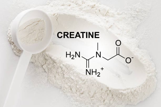 creatine and hair loss