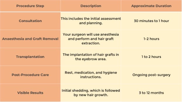 eyebrow hair transplant timeline