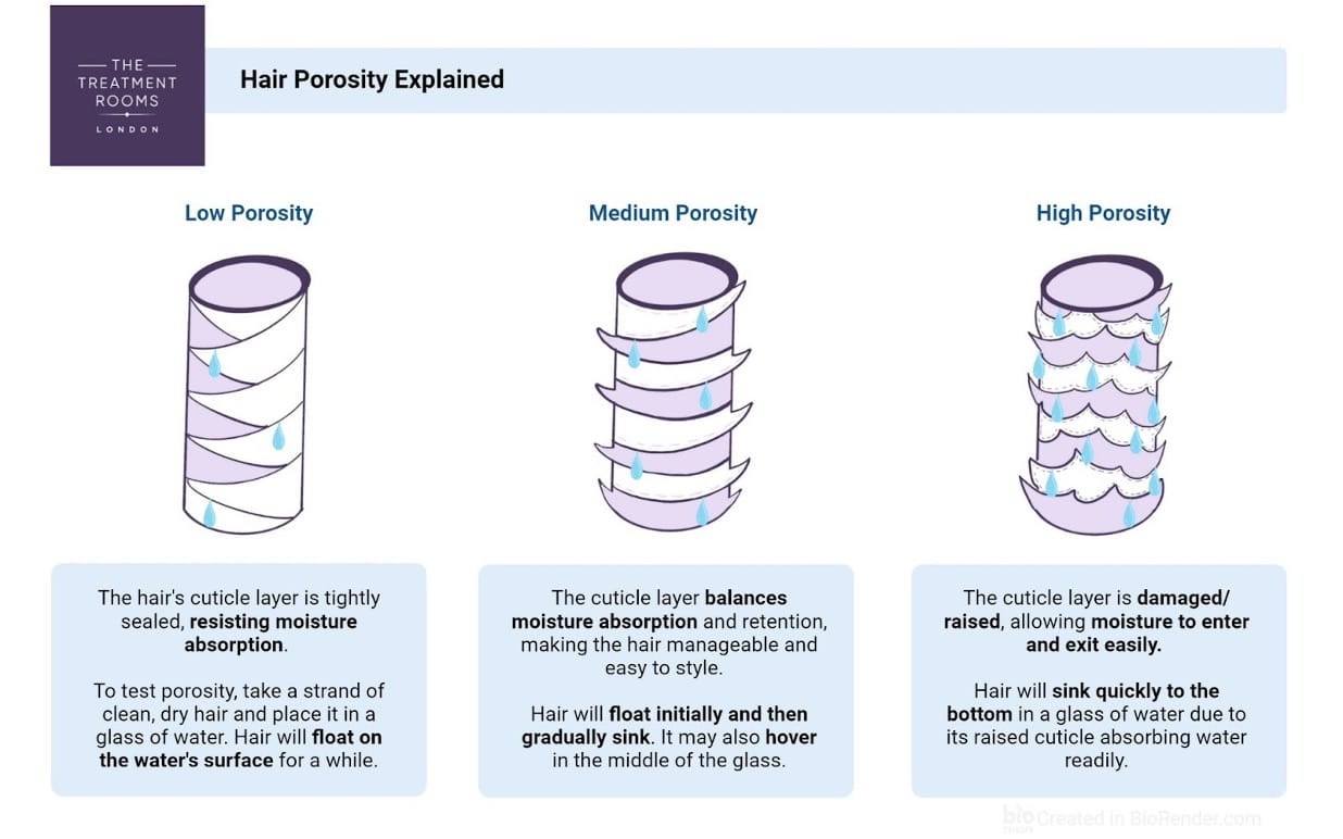 hair porosity explained