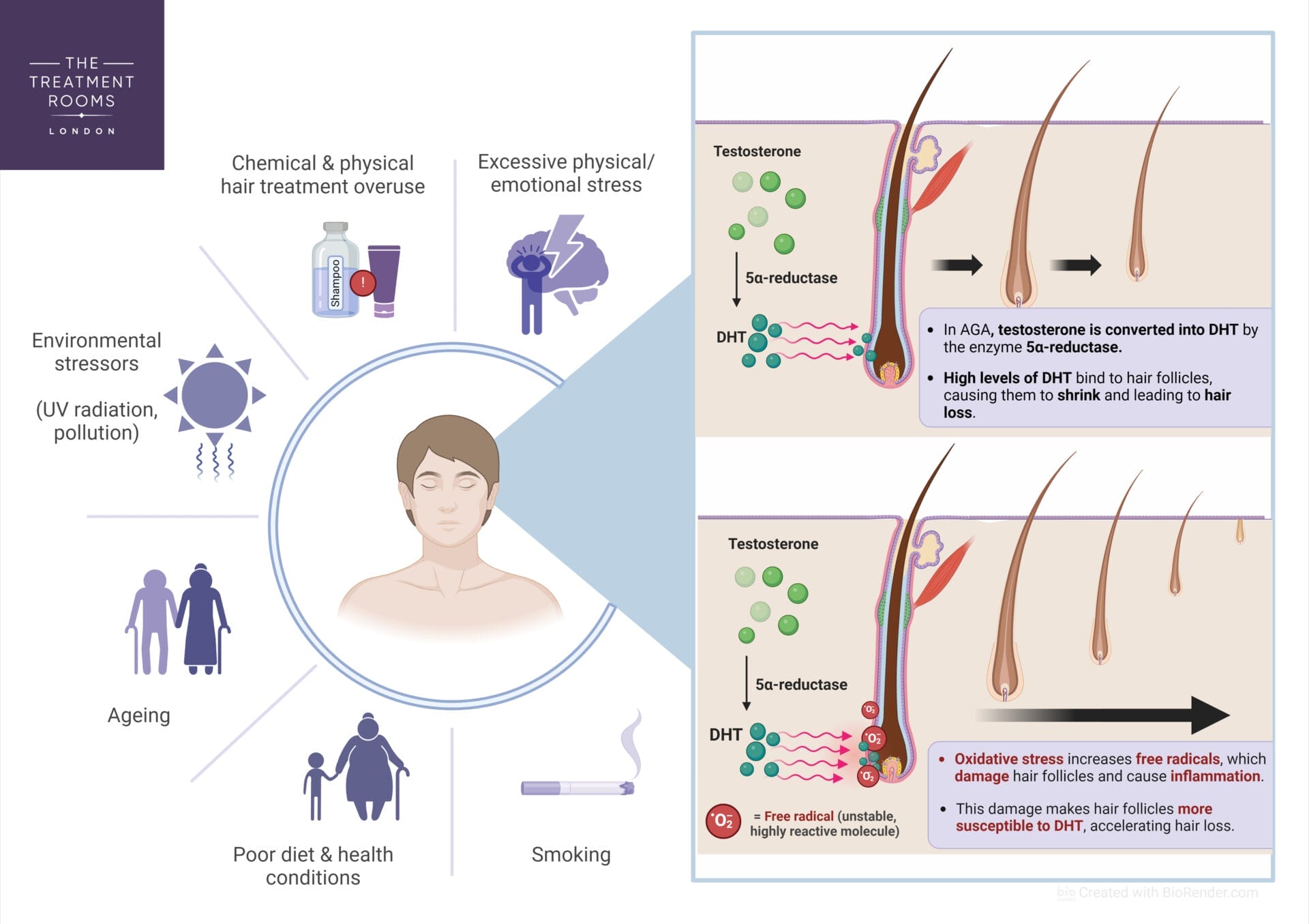 This diagram illustrates the causes of oxidative stress, as well as the negative effects it has on hair follicles