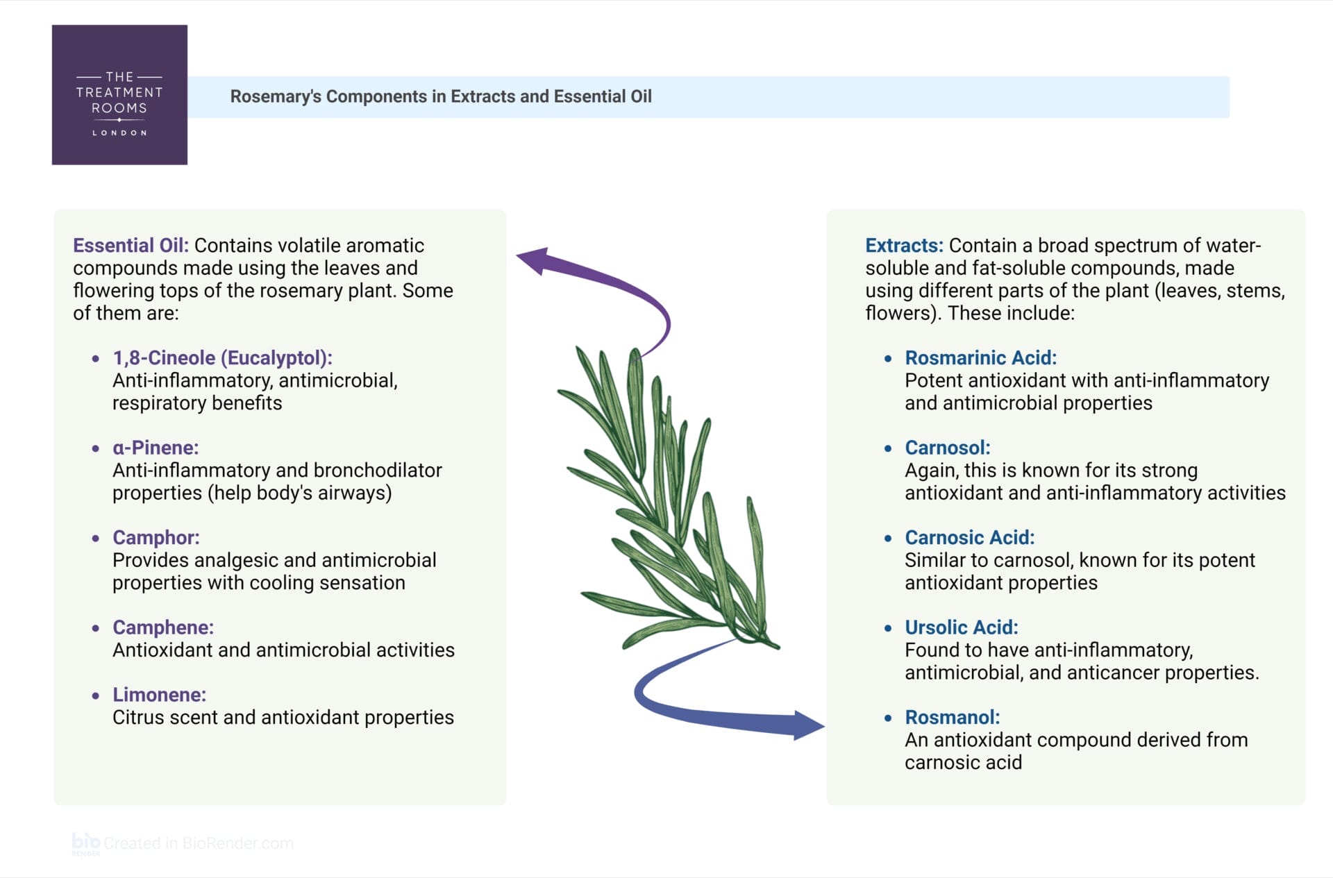 rosemary oil components