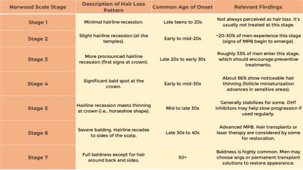 stages of hair loss in men
