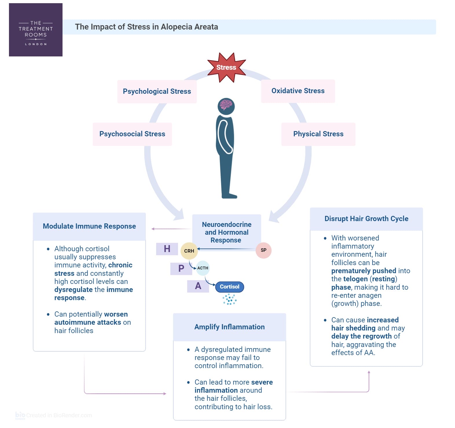 stress and alopecia areata